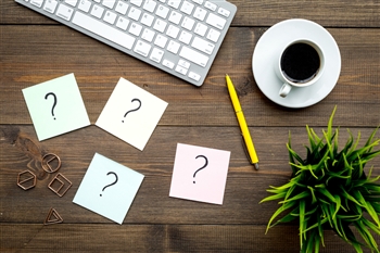 any(エニー) 初心者